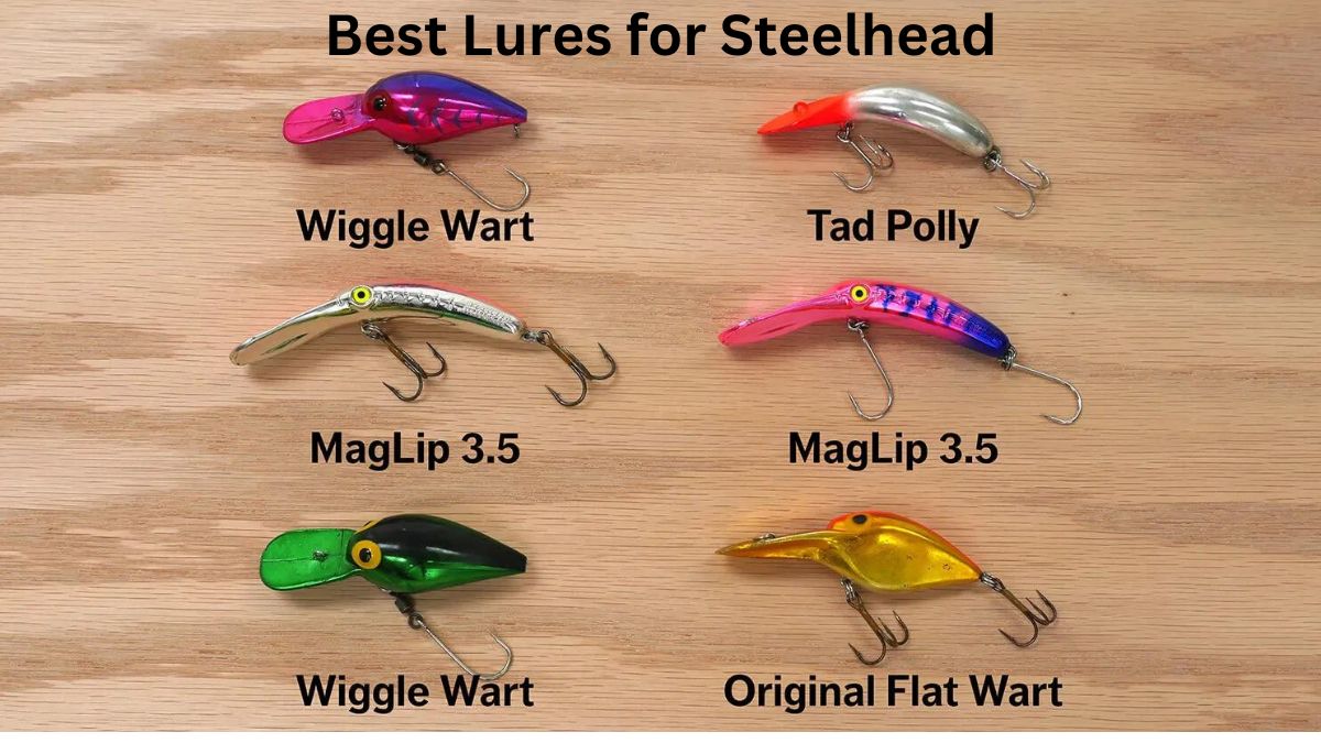 Best Lures for Steelhead